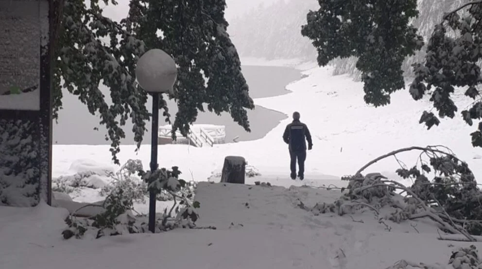Biogradska gora zatvorena za posjete
