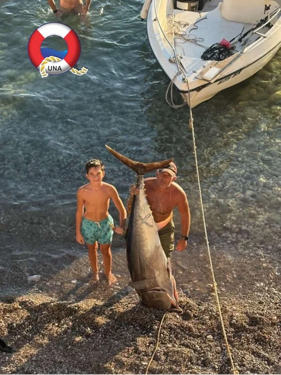 Daboviću “Ulov mjeseca” za septembar, tuna 90 kilograma