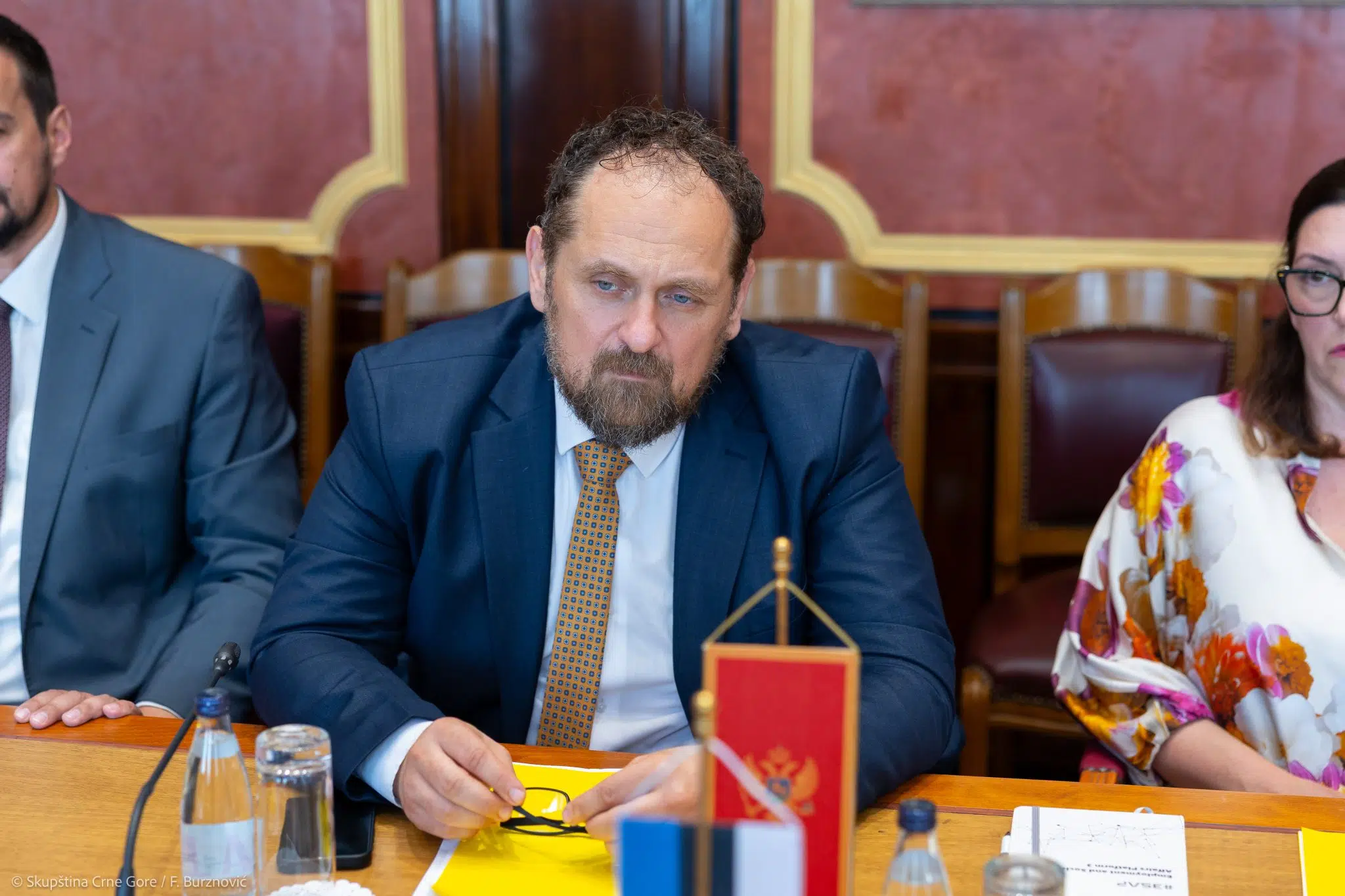 Stojović: Zašto DPS ne može biti u vladi - zato što niko normalan ne poziva piromana da gasi požar