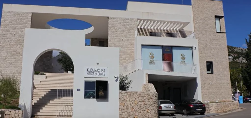 Kuća maslina otvara sezonu proizvodnje maslinovog ulja – besplatna prerada i podrška domaćim maslinarima