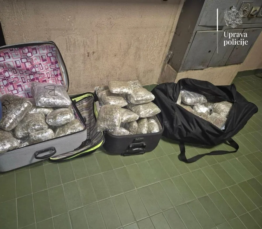 U Kolašinu uhapšen osamnaestogodišnjak sa 40 kilograma marihuane