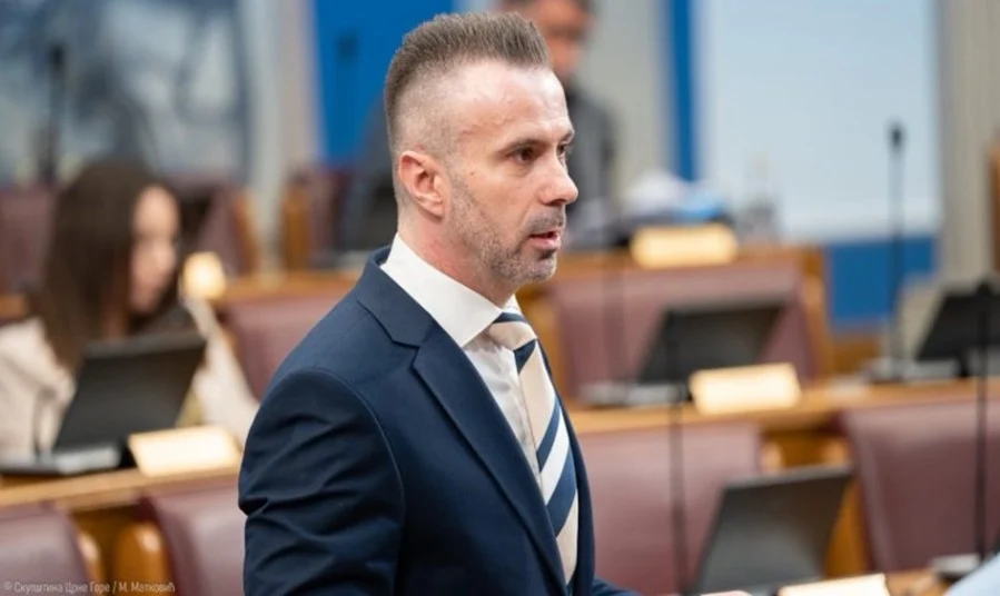 Bogdanović: Pismo Medenice smišljeno u odajama "prve familije"