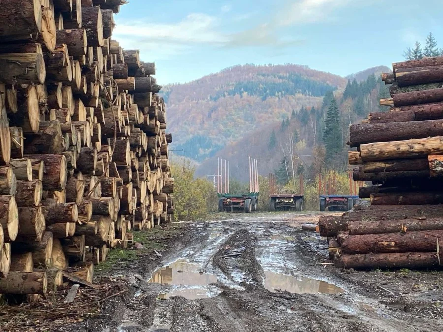 Tender za koncesije pred Upravnim sudom