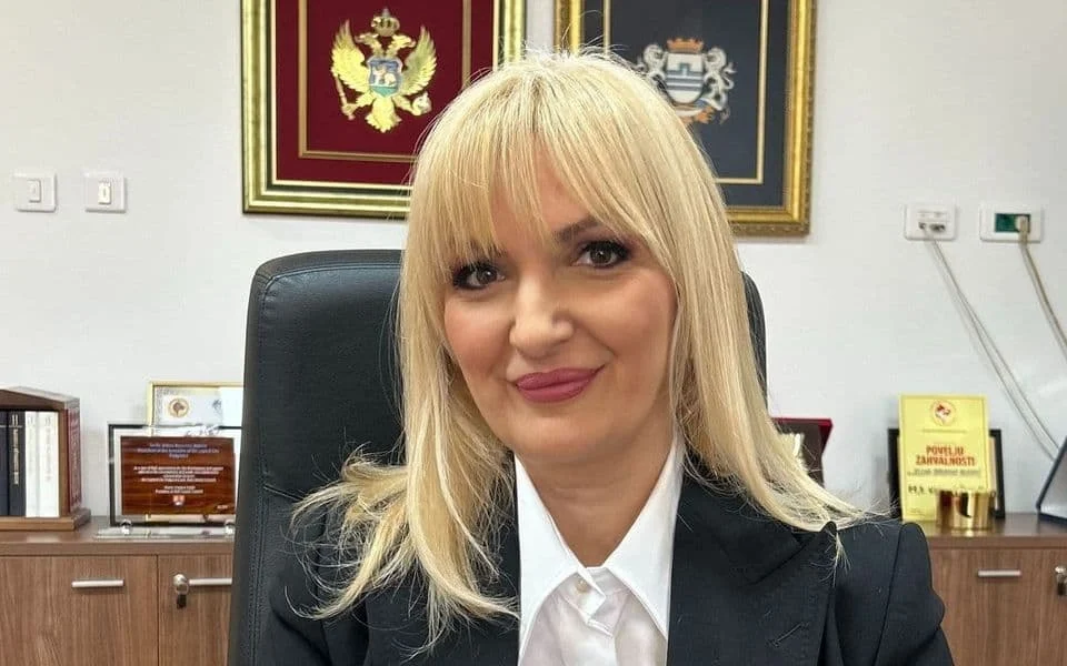 Borovinić Bojović: U toku formiranje Građanskog pokreta Luča