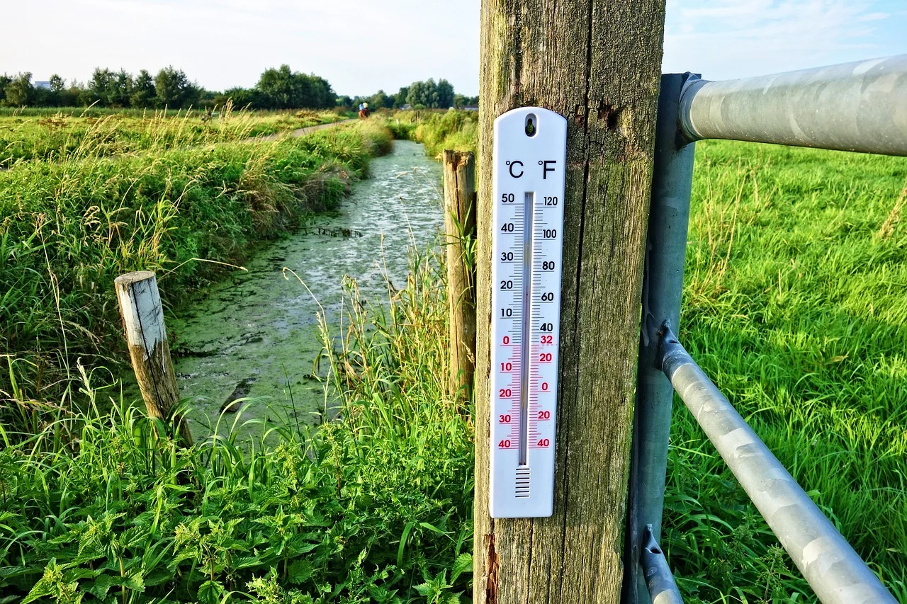 ZHMS: Svjetska meteorološka organizacija potvrdila da je 2025. bila jedna od najtoplijih godina u istoriji