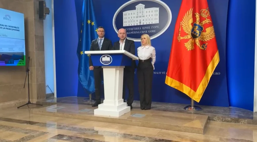 Knežević: DNP predao Skupštini predlog zakona o trobojci, još nismo razgovarali sa Mandićem o budućnosti koalicije