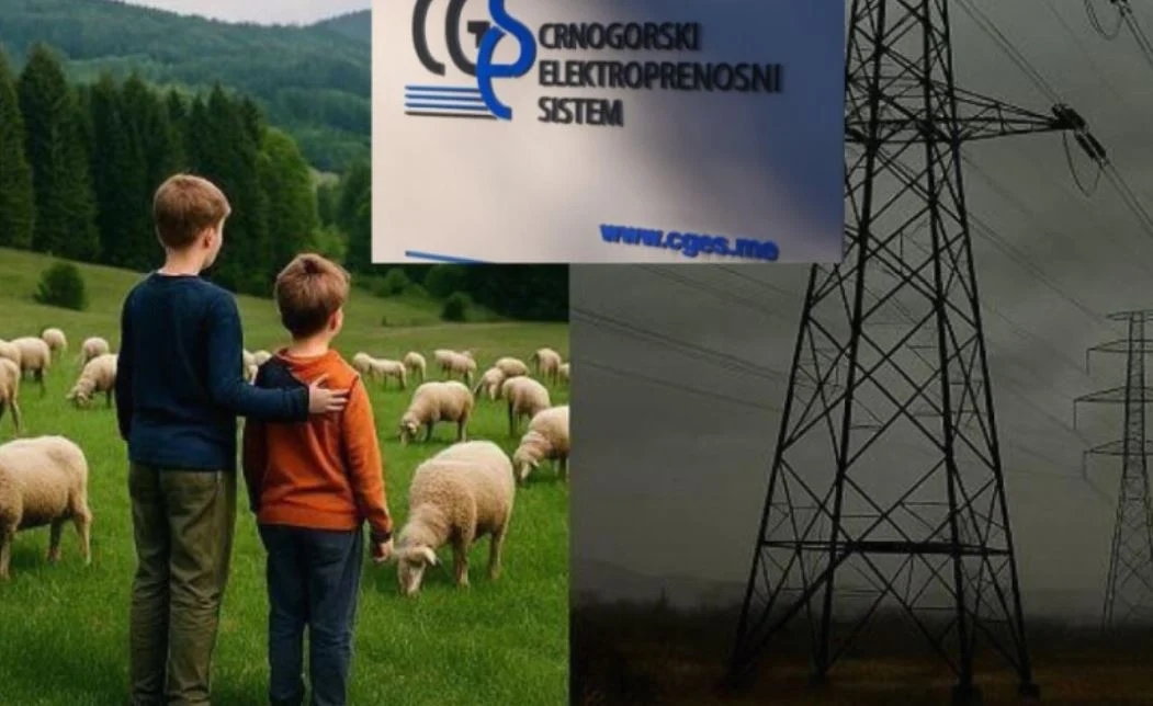 CGES nastavlja da ignoriše ljude kojima dalekovodi prolaze iznad kuća