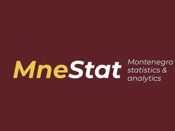 MNE Stat: Građane ne treba da je strah od nestašice goriva, ali treba strahovati od pohlepe naftnih distributera i vlasnika pumpi