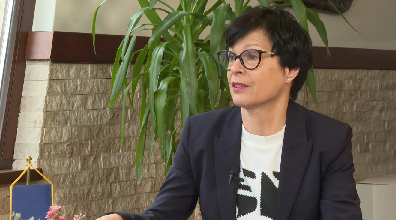 Kos: Tenzije koje vidimo iz Brisela nijesu dobre, neophodna saradnja vlasti i opozicije