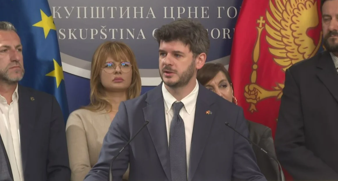Čarapić: Međuvladine konferencije u maju i junu, biće zatvoreno više poglavlja