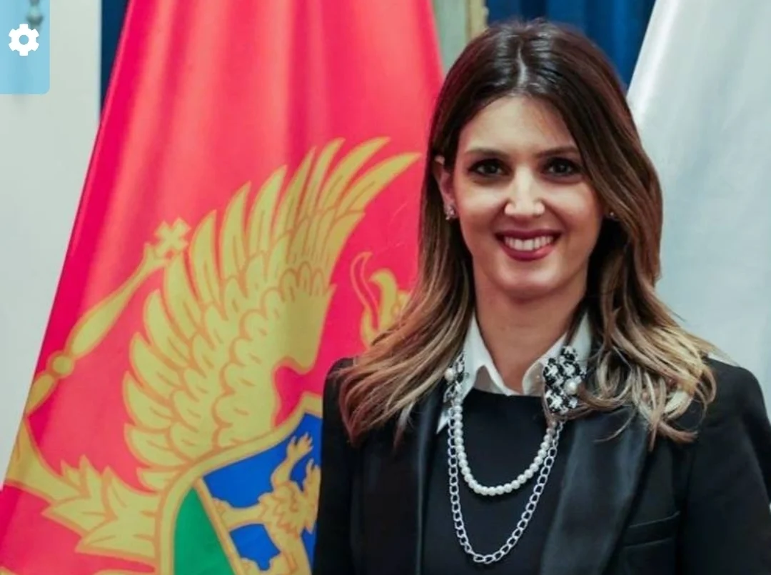 Smanjenje akciza moglo bi sniziti cijenu goriva za 27 centi po litru