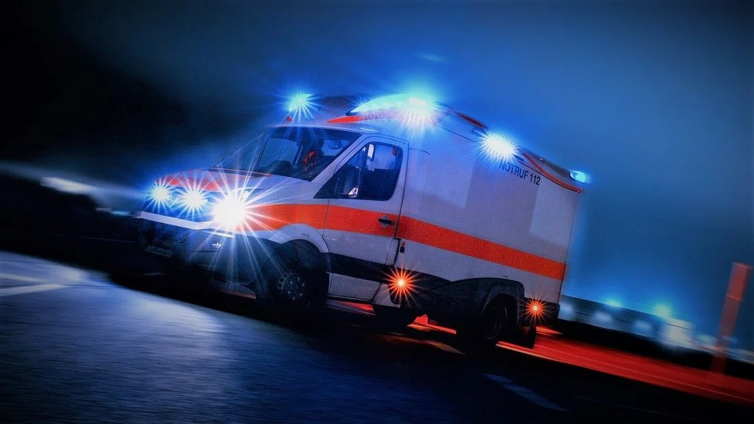 Bjelopoljac preminuo zbog ujeda pčele