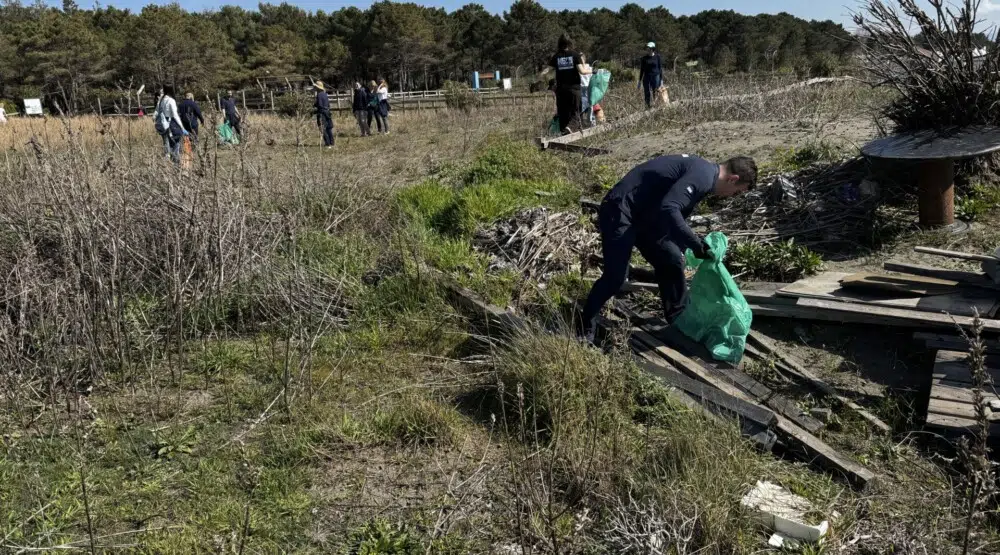 Realizovana ekološka akcija čišćenja dina na Velikoj plaži
