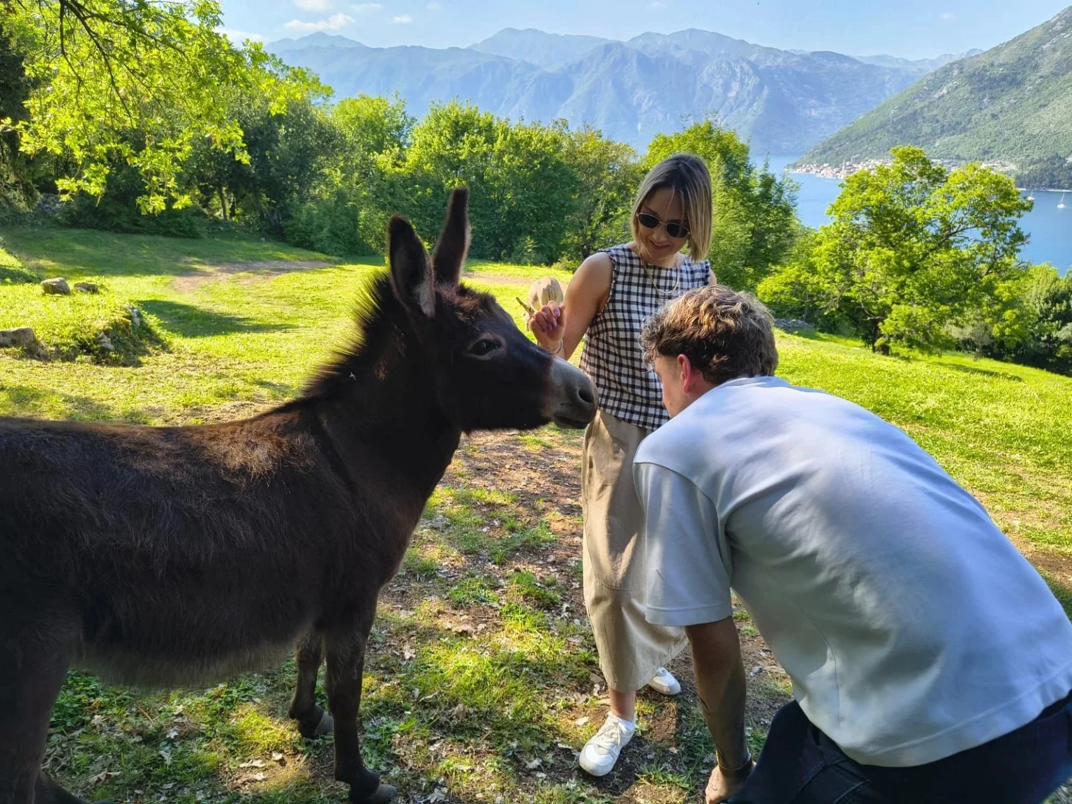 Nacionalna turistička organizacija Crne Gore organizovala studijsku posjetu prestižnih britanskih medija