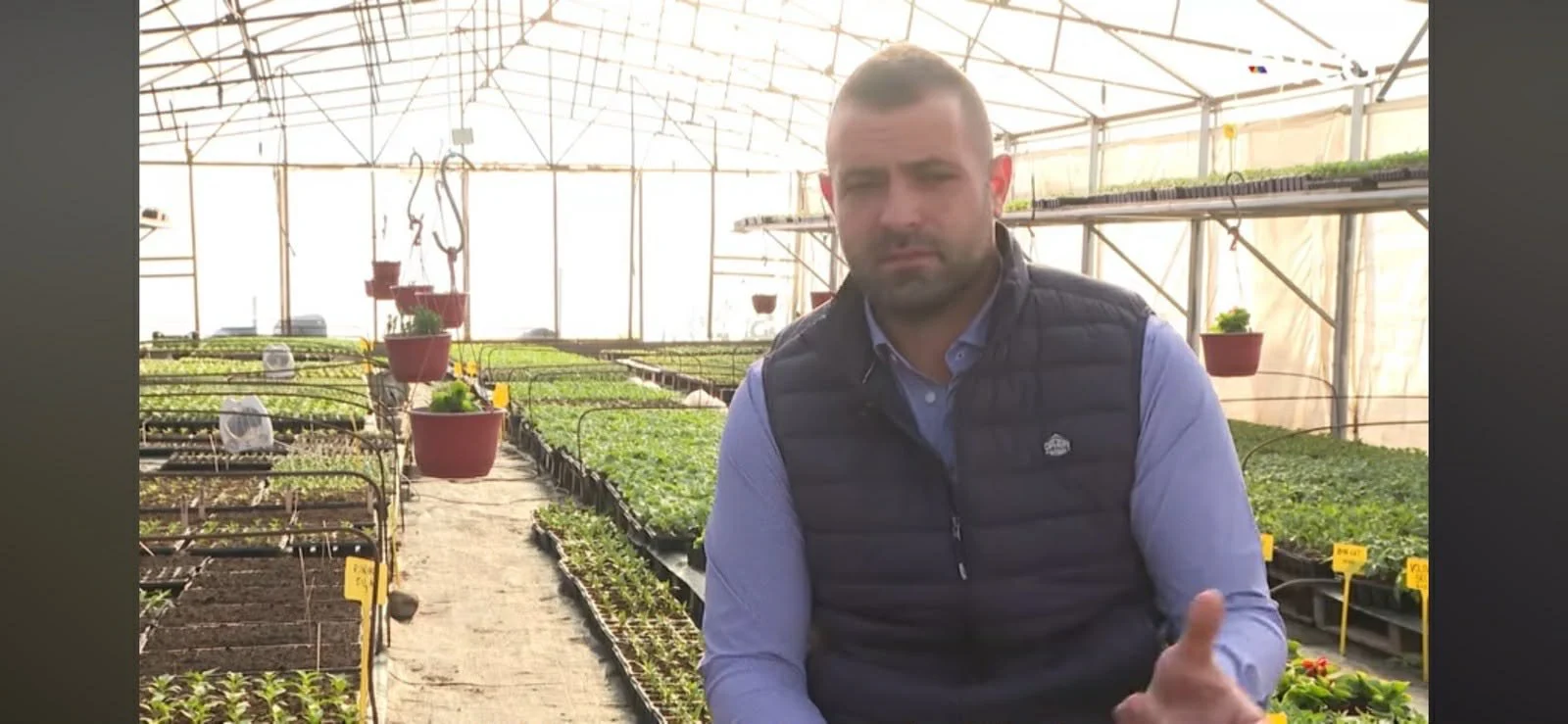 Iz korijena ljubavi: Mladi agronom Mugoša iz Donje Gorice uzgaja budućnost kroz 100.000 sadnica