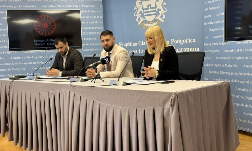 Romski savjet: Položaj Roma znatno nepovoljniji u gotovo svim oblastima društvenog života