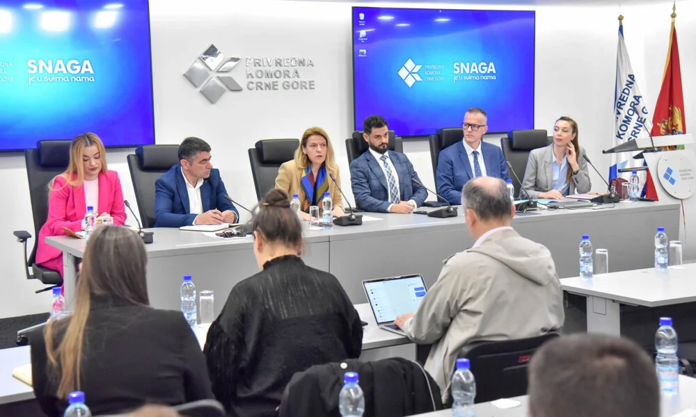 LAKETIĆ: Poreska uprava je intenzivirala aktivnosti na modernizaciji sistema, posebno kroz unapređenje IRMS platforme
