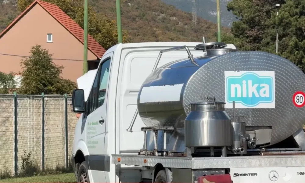 Mljekare Nika i Lazine obustavljaju otkup od malih proizvođača, pogođeno 80 nikšićkih farmera