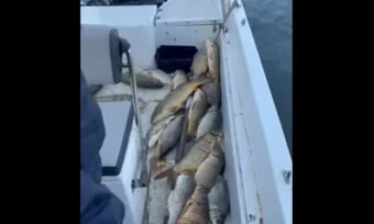 U rejonu Godinja danas su uklonjene mreže a u vodu vraćeno oko 70 kilograma ribe