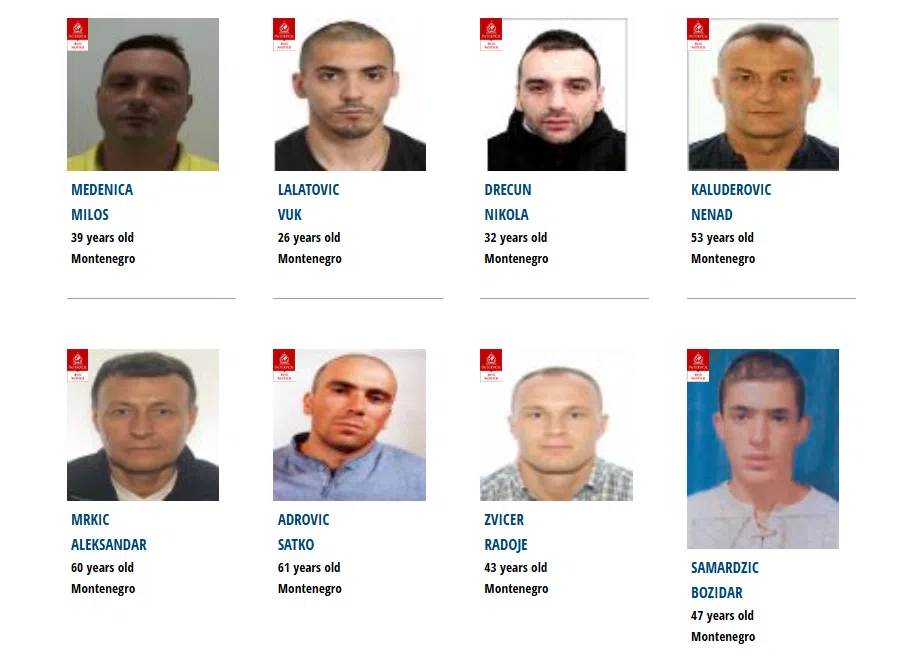 Crna Gora preko Interpola traga za devetoricom