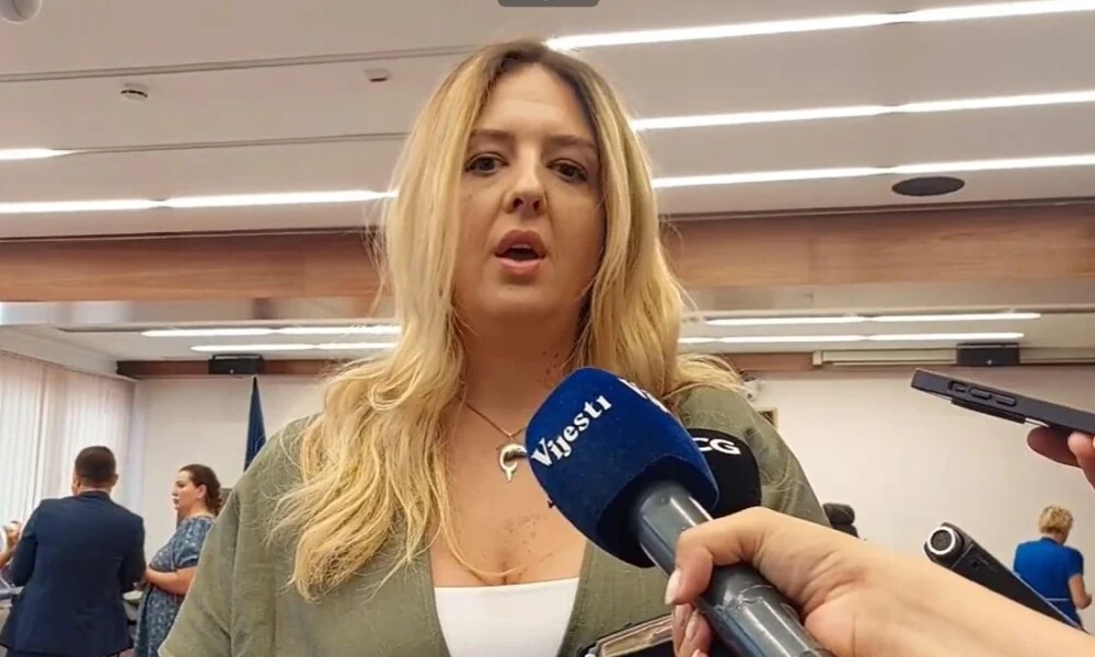 Todorović: Gdje je nestalo 20 miliona eura prenesenih sredstava iz prethodne godine