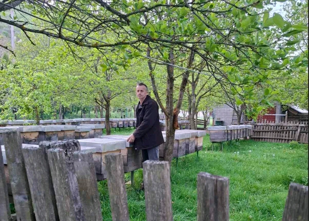 Miris meda i magične prirode: Rajko Tomović život posvetio pčelama