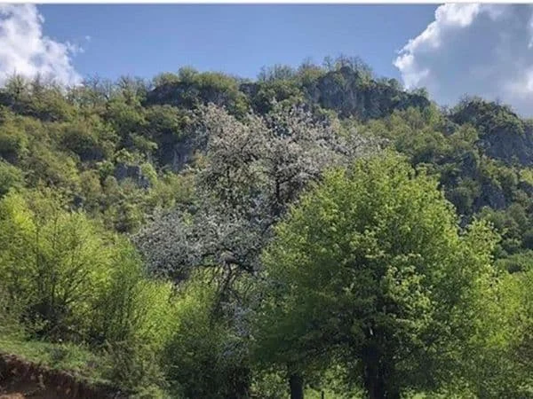 Kompanija „Elas“ odustala od kamenoloma