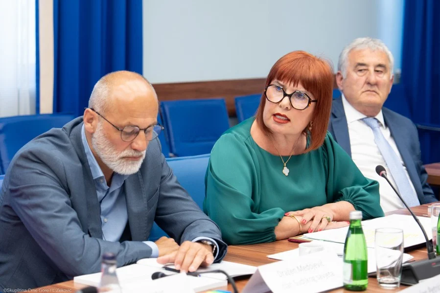 Pavličić: Sudska vlast ne može sama nositi teret vladavine prava, odgovornost mora preuzeti cijeli sistem