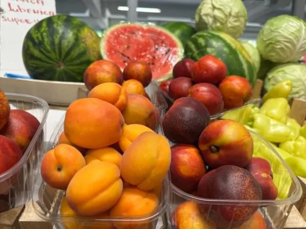 TC BAZAR: Kajsije, breskve i nektarine po 2,5 eura. Kilogram krastavaca dva eura, paradajz do 3 eura