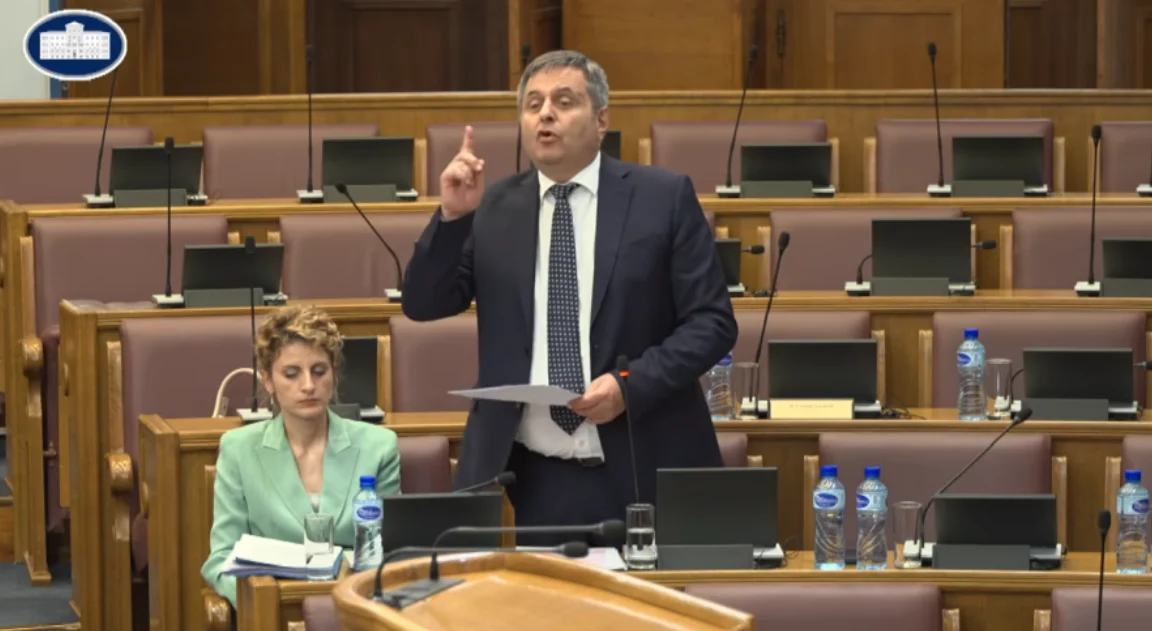 Radunović: Plaža Čedomira Popovića građena po planu iz vremena DPS-a