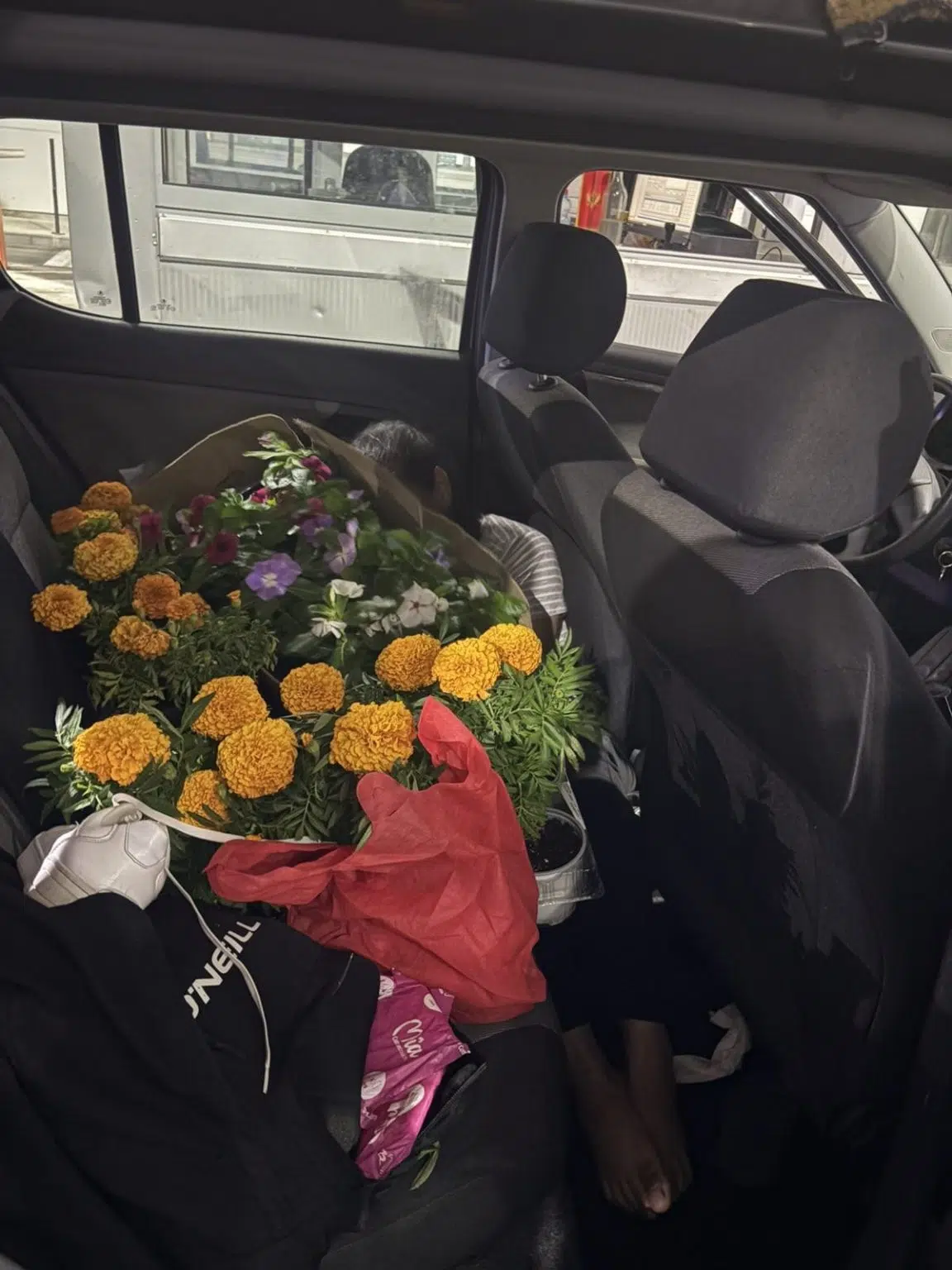 NIKŠIĆ -Uhapšen muškarac: Pokušao da prošvercuje ženu na zadnjem sjedištu auta. Prekrio je cvijećem i prtljagom (FOTO)