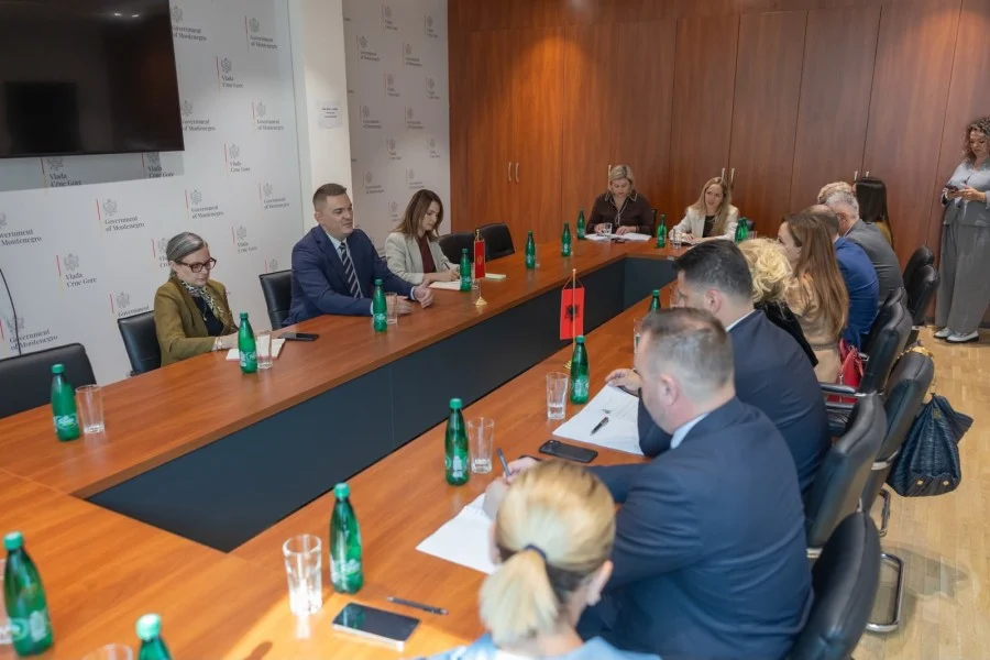 Šahmanović: Crna Gora i Albanija mogu zajedno graditi energetsku i ekonomsku budućnost