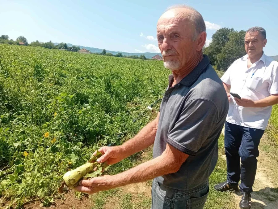 Nevrijeme ostavilo pustoš: Šteta na pojedinim imanjima i do 100.000 eura