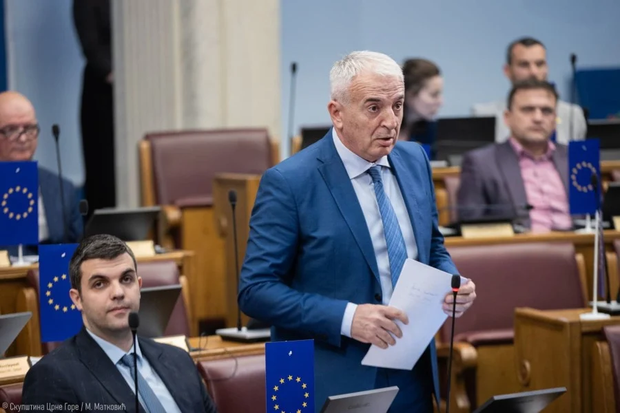 Đurović: Za Mandićevu smjenu neće biti kvoruma