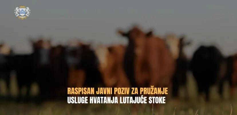 Glavnom gradu stigla samo jedna ponuda za hvatanje lutajuće stoke
