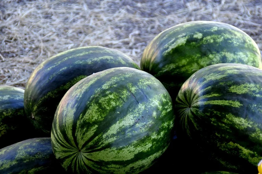 DOGOVOR: Višak lubenica biće od danas ponuđen u marketima po 25 centi po kg