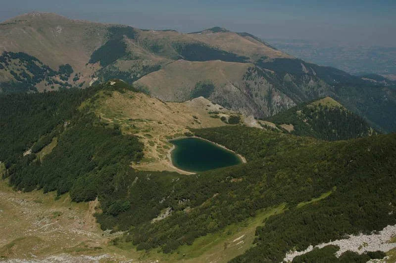 Kazne do 80.000 eura za uništavanje prirode, zabranjeno paljenje vegetacije i pirotehnika u zaštićenim područjima