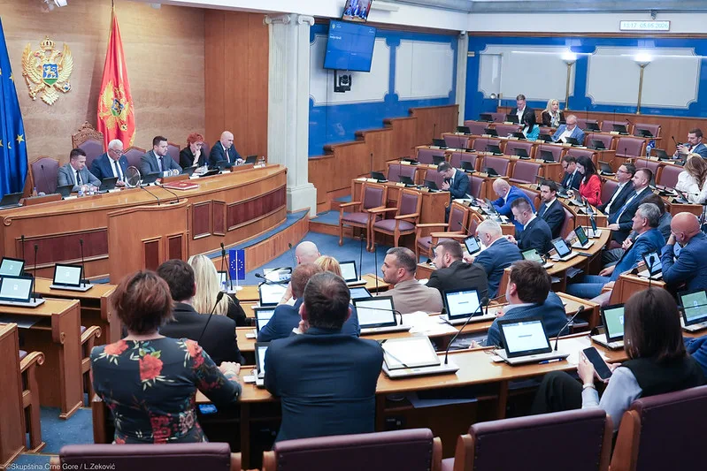 Milatović: Izbor sudija Ustavnog suda iznad je političkih interesa; Dragović: PES će podržati Jelenu Ružičić