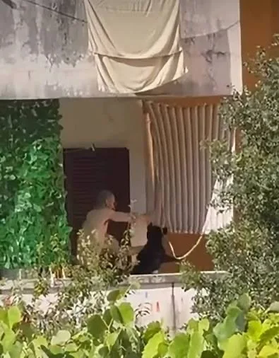 Nakon snimka zlostavljanja psa u Budvi: Osumnjičeni pod mjerom zabrane napuštanja stana