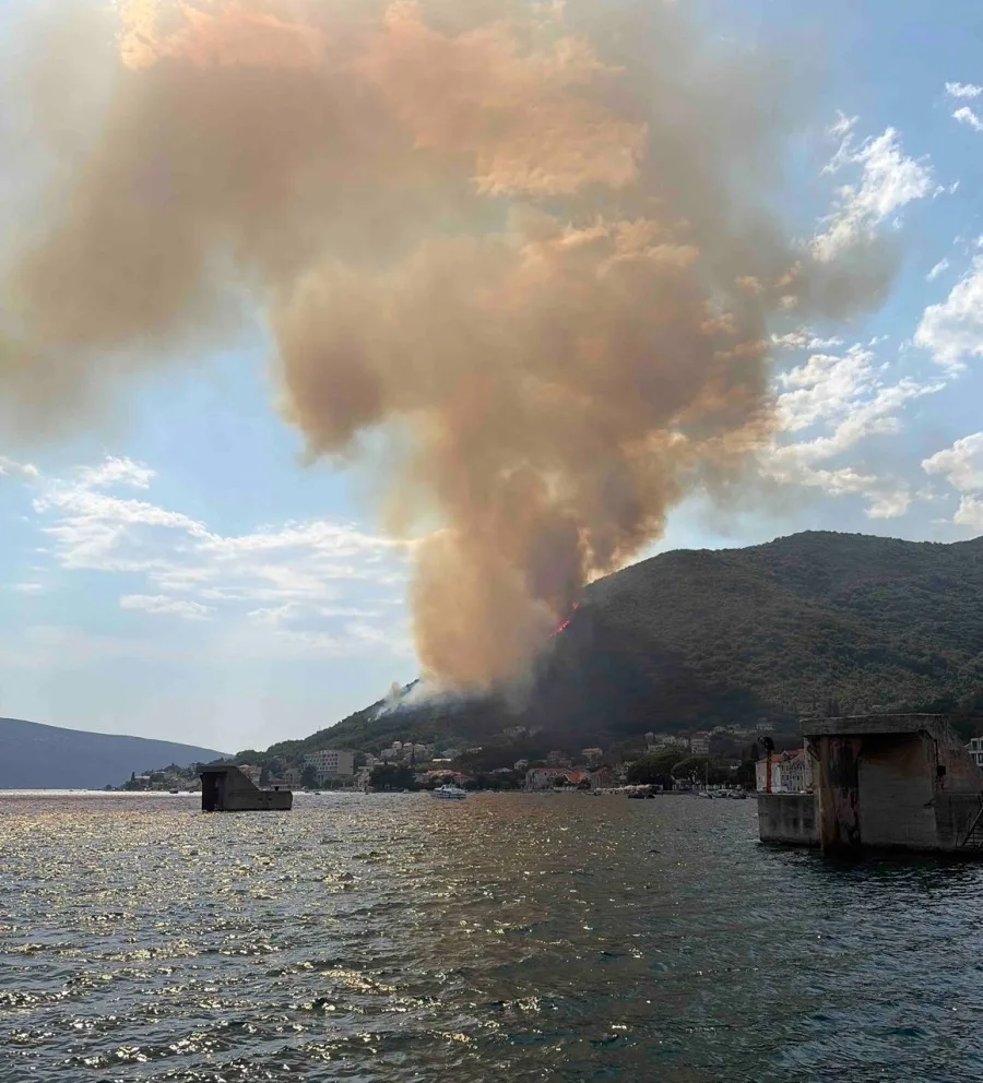 Požar u Herceg Novom: U Bijeloj uspjeli da vatru stave pod kontrolu, vjetar otežava gašenje