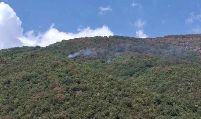 Herceg Novi: Opet gori iznad Đenovića