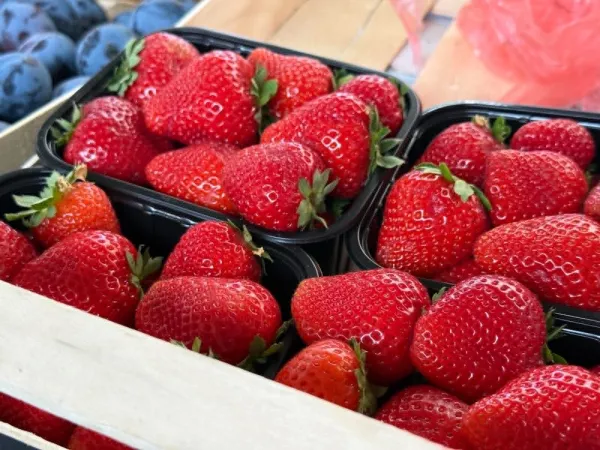HOROR CIJENE U GINTAŠU: Kilogram jagoda iz Grčke 15 eura, lubenica euro za kg