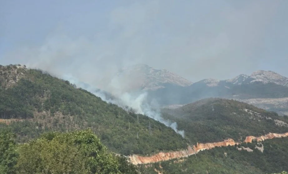 Požari ponovo bukte u Nikšiću i Šavniku