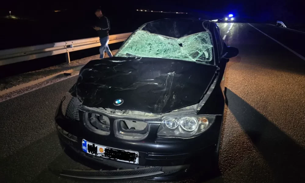 Budvanin sinoć povrijeđen na putu Brajići – Vrela, vozilom udario kravu