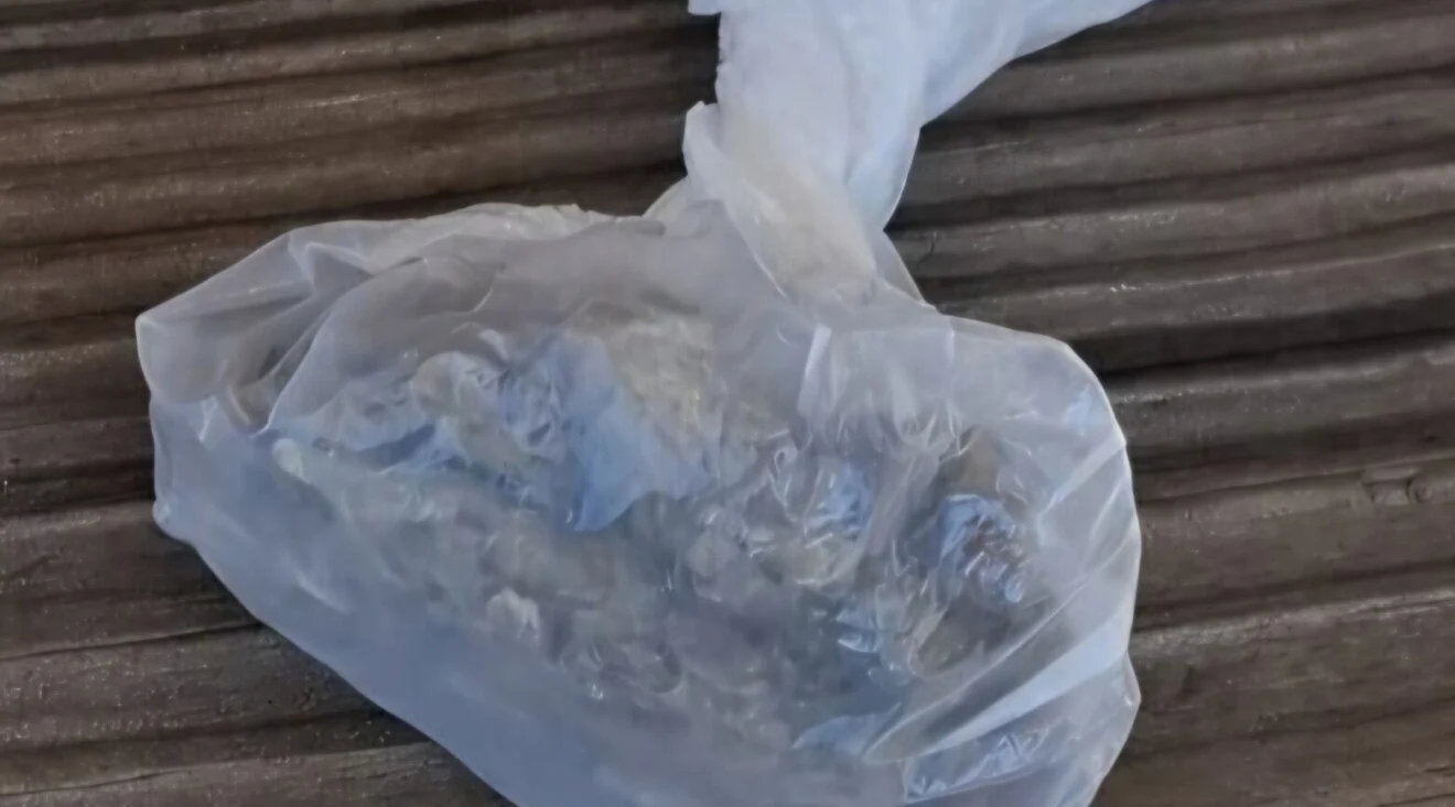 Pretresi na sjeveru: Uhapšena dva Bjelopoljca osumnjičena za zloupotrebu narkotika, pronađeni oružje, municija, tablete…