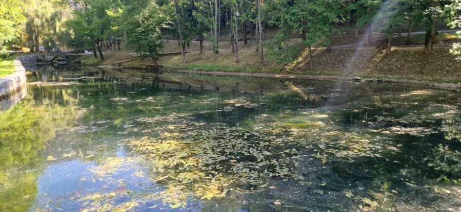SUŠA: Nivo vode u Breznici ispod biološkog minimuma, prijeti pomor ribe