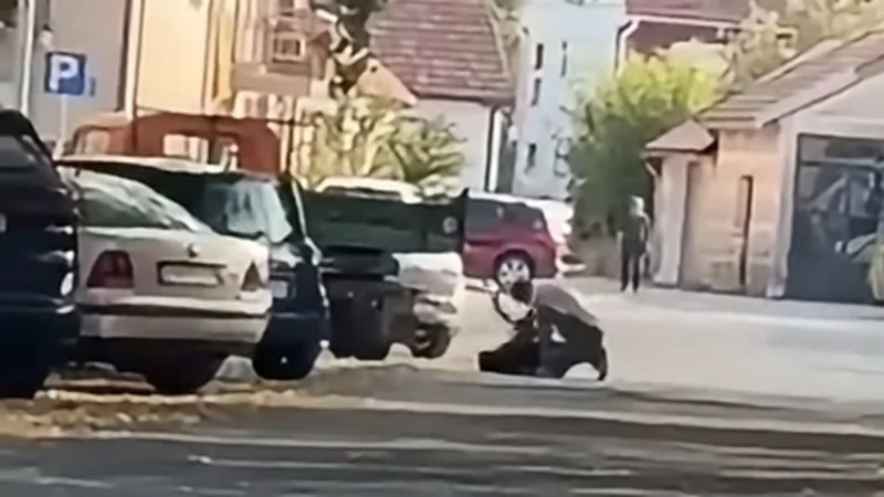 CETINJE: Uhapšen muškarac zbog sumnje da je tukao psa