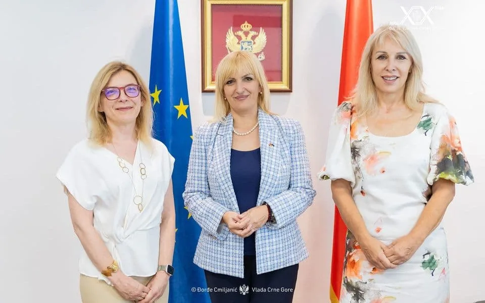 Borovinić Bojović: Telemedicinom do dostupnije zdravstvene zaštite u udaljenim područjima