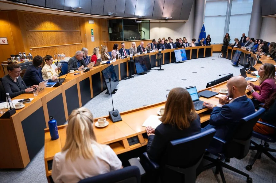 Gorčević u EP: Pristupanje Crne Gore može biti i evropski uspjeh