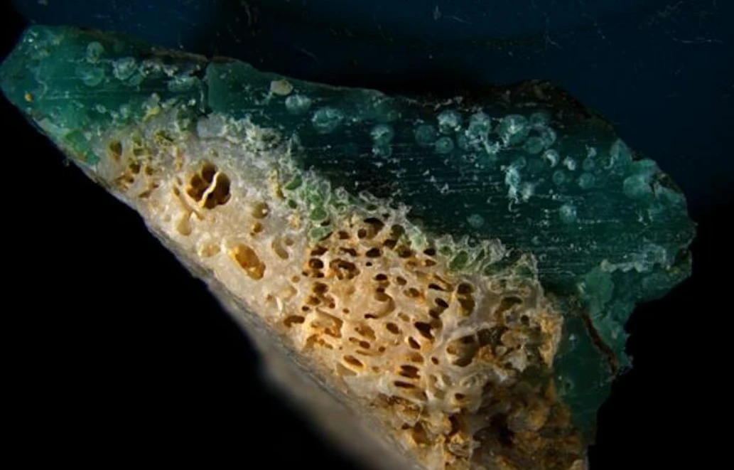 Plastika se stopila s koralima - naučnici otkrili novu vrstu zagađenja
